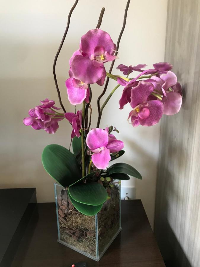 Aconchego Proximo A Cascaneia E Blumenau Гаспар Екстериор снимка